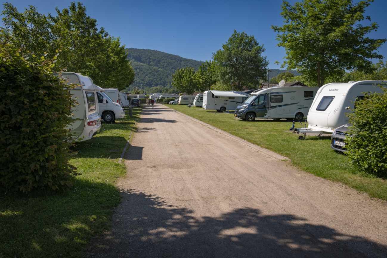 Campingplatz Gülser Moselbogen