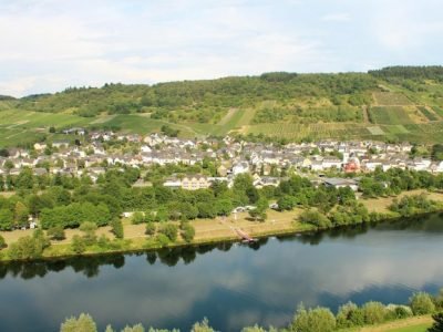 Moselstellplatz Wintrich_Bild 1