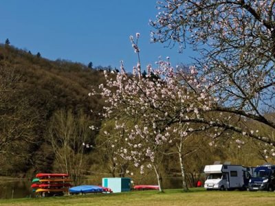 Stellplatz Ediger-Eller